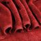 安赛瑞 27057 超细纤维磨绒毛巾 27057 60*180cm 红色 1条装