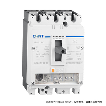 正泰 CHNT 塑壳断路器 NM8N-250H TM NM8N-250H TM 160 2P