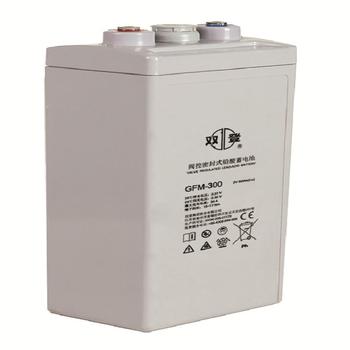 双登 2V阀控式铅酸蓄电池 GFM-300  GFM-300