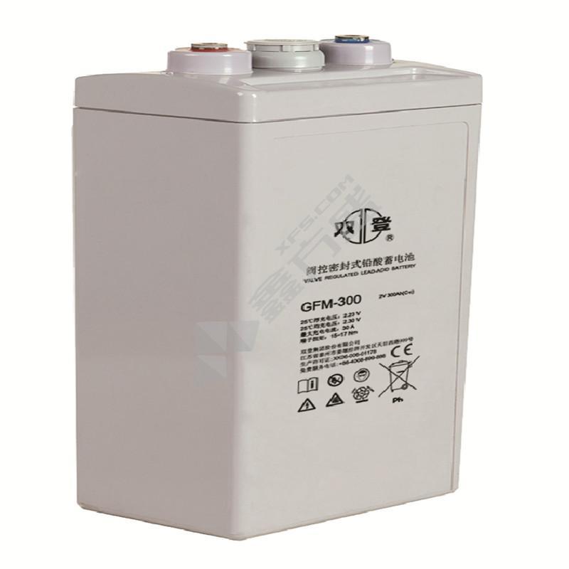 双登 2V阀控式铅酸蓄电池 GFM-300  GFM-300