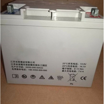 双登 阀控式铅酸蓄电池 6-GFM-38 HD0303993  6-GFM-38 1节