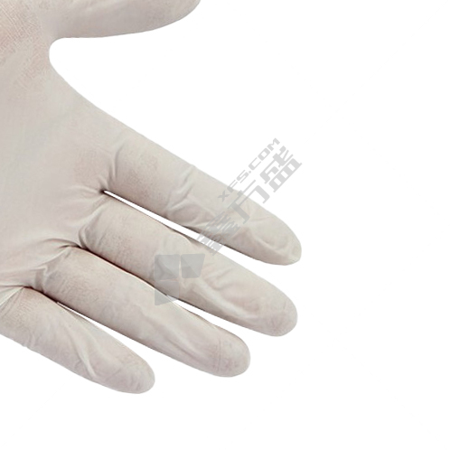 代尔塔 带粉乙烯基一次性手套201371 201371 8码 透明