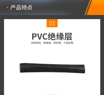 上上 阻燃耐火电力电缆ZAN-YJV 2*10平方