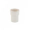 伟星RICHU PVC直落水接头 白色 50