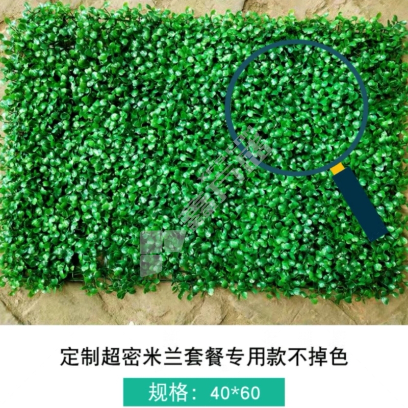 梓豪 超密米兰植物墙 40cm×60cm 绿