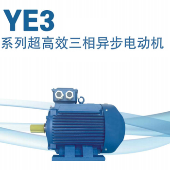 DZ/江苏大中 YE3超高效率三相异步电动机 YE3-100L2-4 3KW IP55