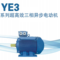 DZ/江苏大中 YE3超高效率三相异步电动机 YE3-100L2-4 3KW IP55