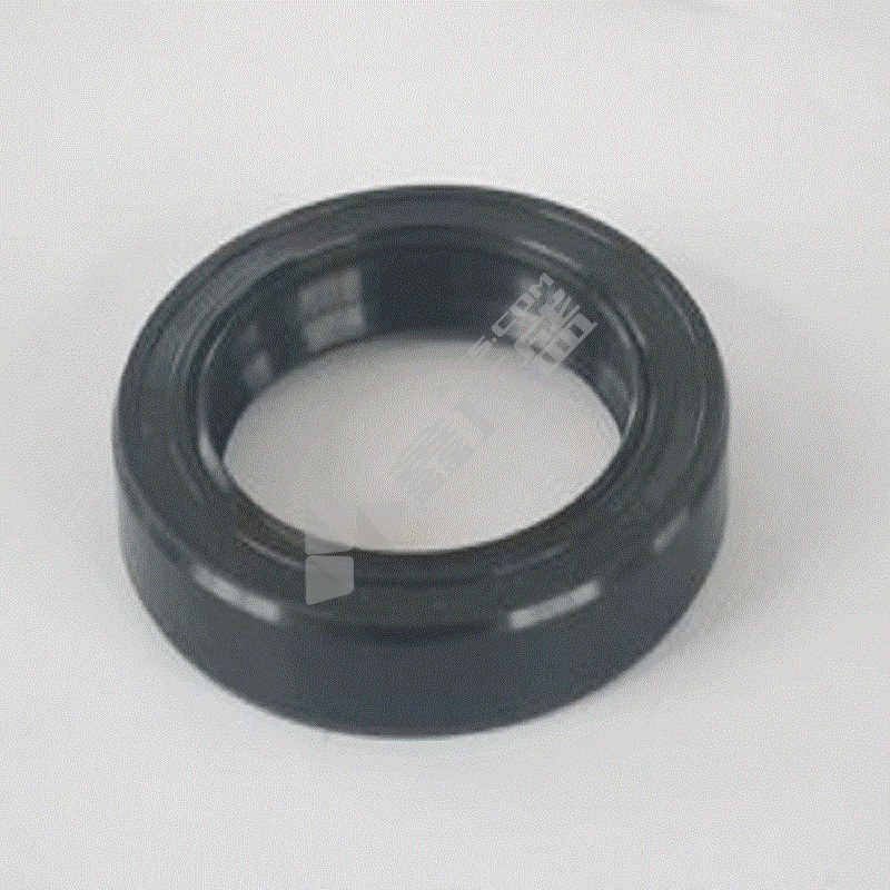 扬州长江 填料环 MD550-50