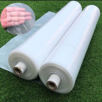 帝焱 塑料薄膜白色加厚防水防尘防渗PE塑料布6S 2.5米宽 160米 白色
