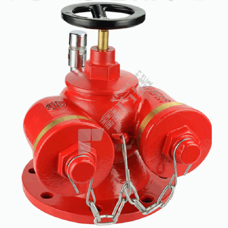 安之翔 墙壁式消防水泵接合器 1.6MPa