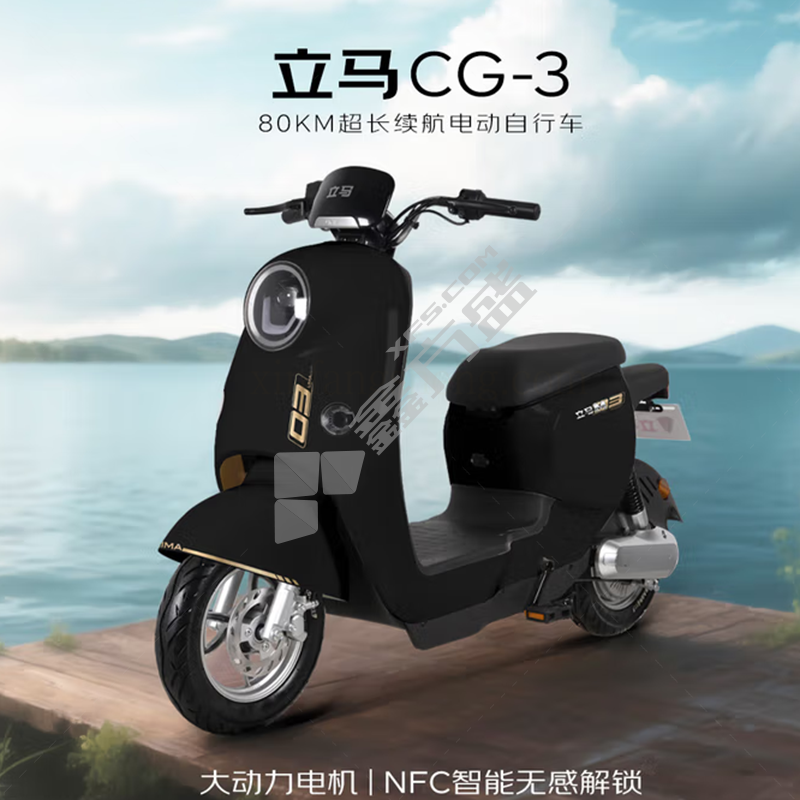 立马 MAXW CG-3 电动车 锂电池/48V24Ah