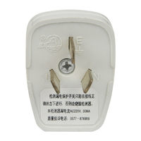 莲池 安全验电器 1000V及以下 10A