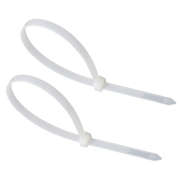 长虹 B级自锁式尼龙扎带 8*300mm 白色