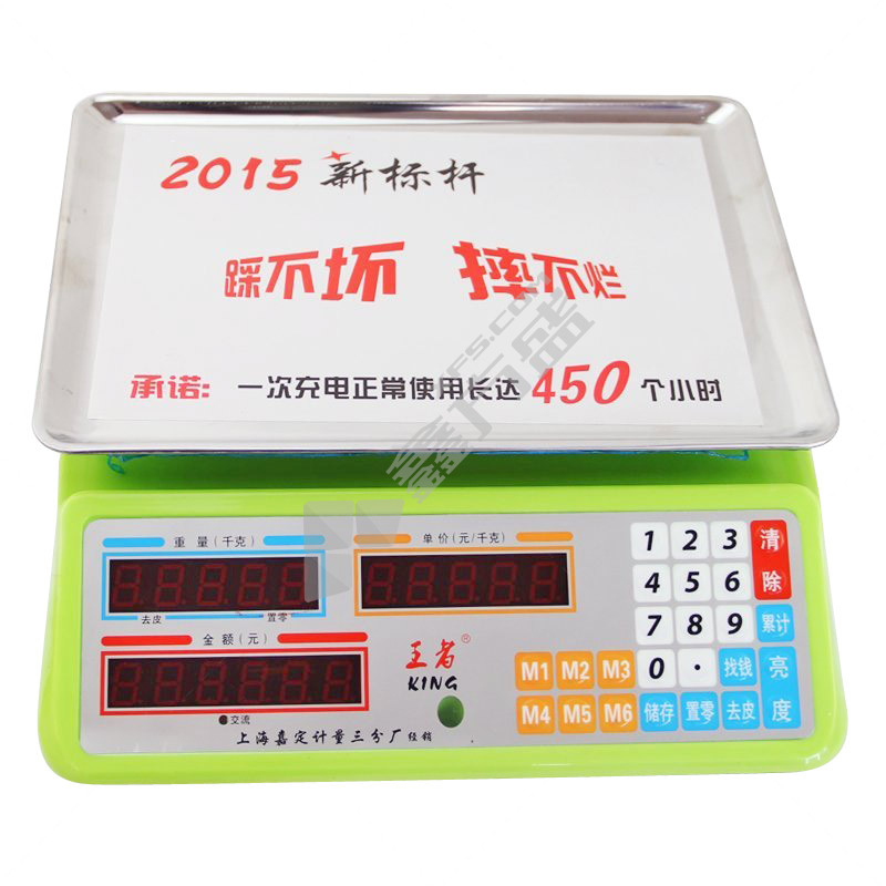 永州 充电式电子秤983型 干充两用 30kg（983)