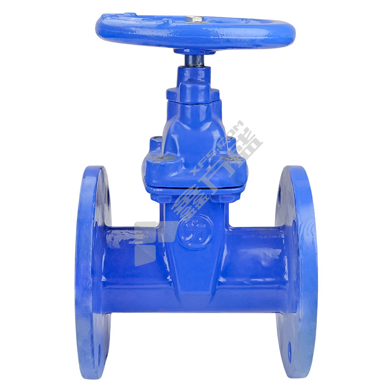 力 大站 弹性座封铸铁法兰暗杆闸阀轻体 Z45X-16Q DN100 PN16