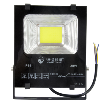 德圣 金刚系列LED投光灯 50W 6500K IP66 220V
