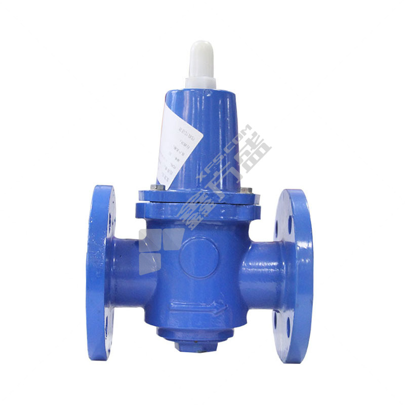 奥美莱 Y416型大体减压稳压阀 DN50 Y416 PN16