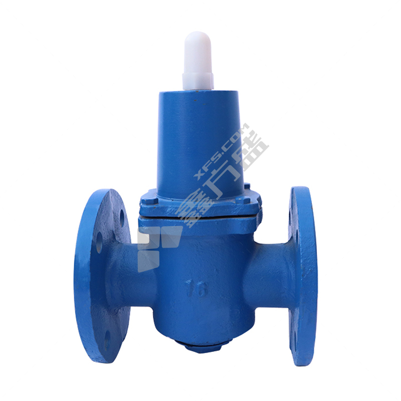 亿源通 铸铁减压稳压阀Y416型 DN40 PN16